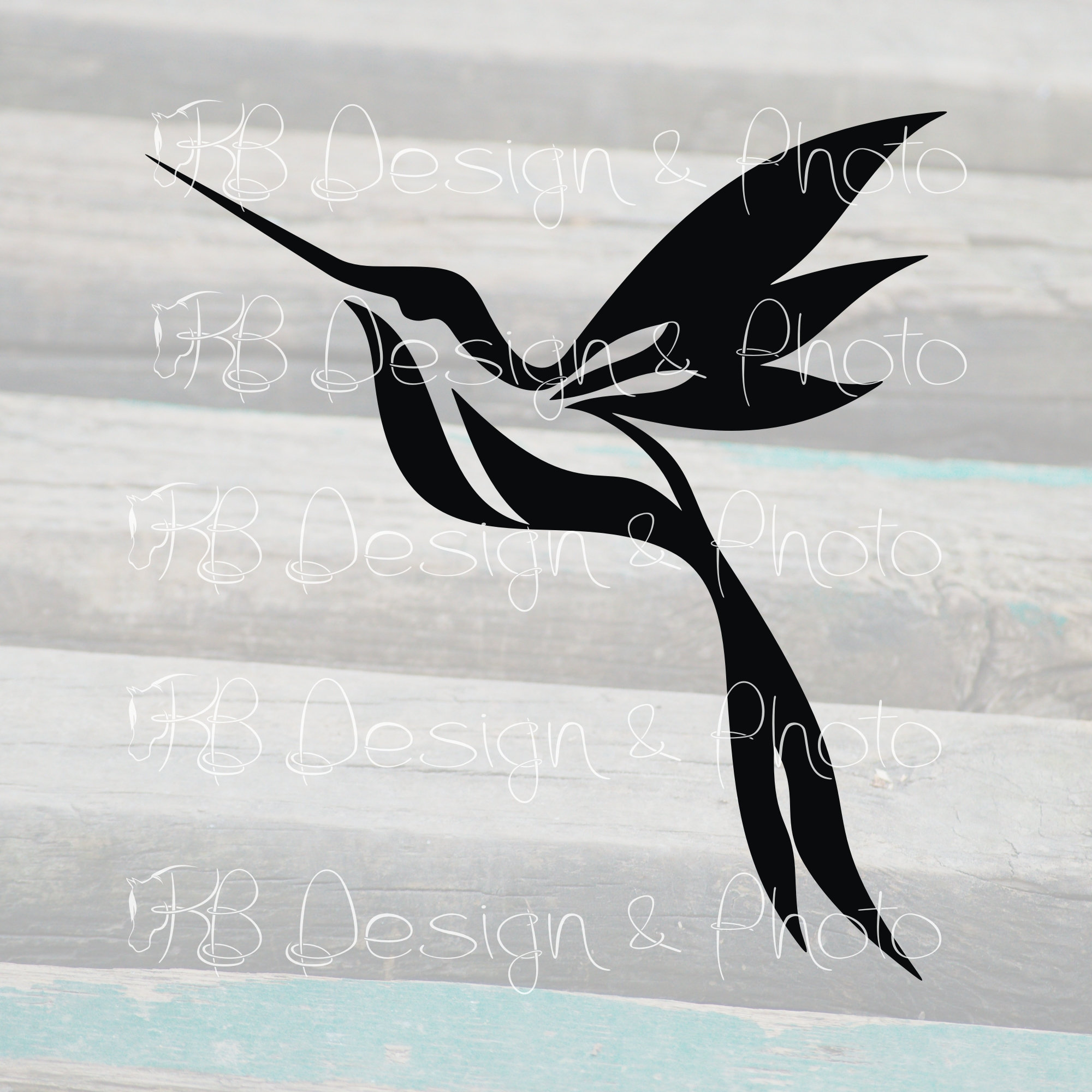 Vector de Colibrí Abstracto/Raster SVG PNG JPG | Etsy México