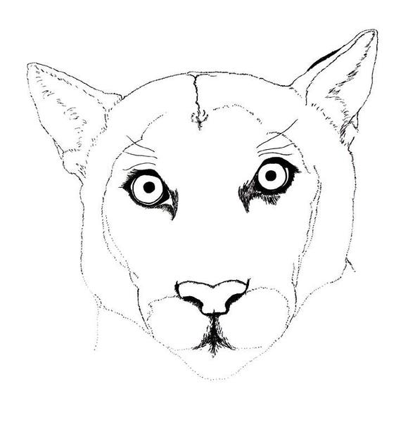 Art Print of Florida Panther Endangered Species From - Etsy Art Print of Florida Panther Endangered Species From - Etsy