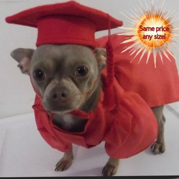 Dog Graduation Cap and Gown, Cat Graduation Cap and Gown, Pet Graduation Cap and Gown,  Same Price Any Size.  Your Choice of Color.