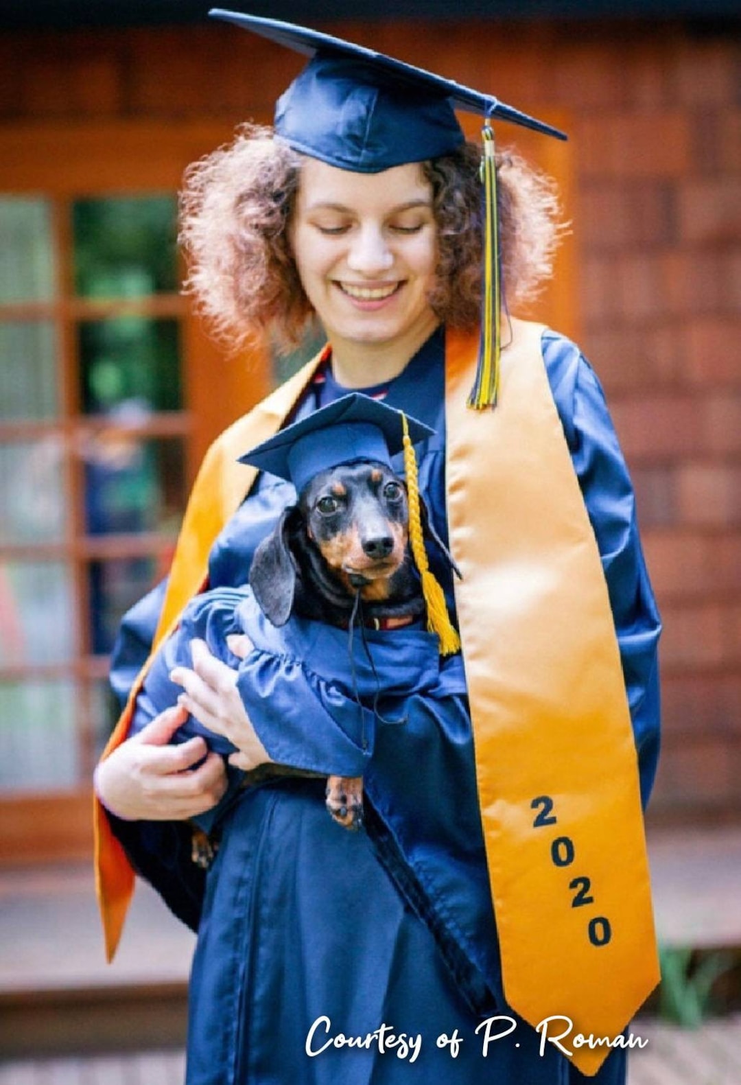 Dog Graduation Cap and Gown Cat Graduation Cap and Gown Pet Etsy