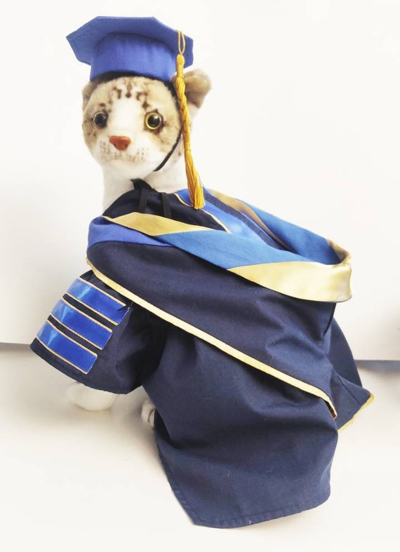 Complete Doctoral Regalia for University of Michigan | Doctoral regalia,  University of michigan, Doctoral gown