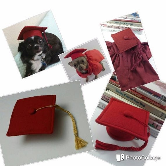 Dog Graduation Cap and Gown Cat Graduation Cap and Gown Pet Etsy
