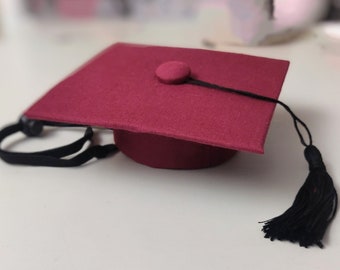 Dog Graduation Cap, Cat Graduation Cap,  (your choice of color)