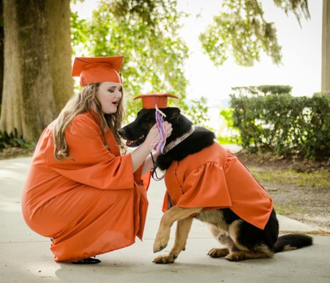 Therapy Dogs Graduate in Caps and Gowns