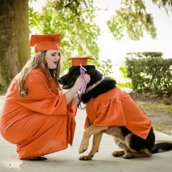 Dog Cap and Gown Etsy