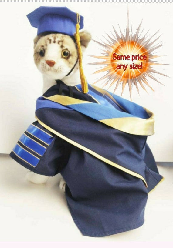 Detailed Dog or Cat Regalia Doctoral Graduation Cap and Gown your Choice of Colors Etsy Canada