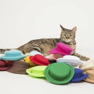 Dog Hat, Cat Hat, Pet Hat