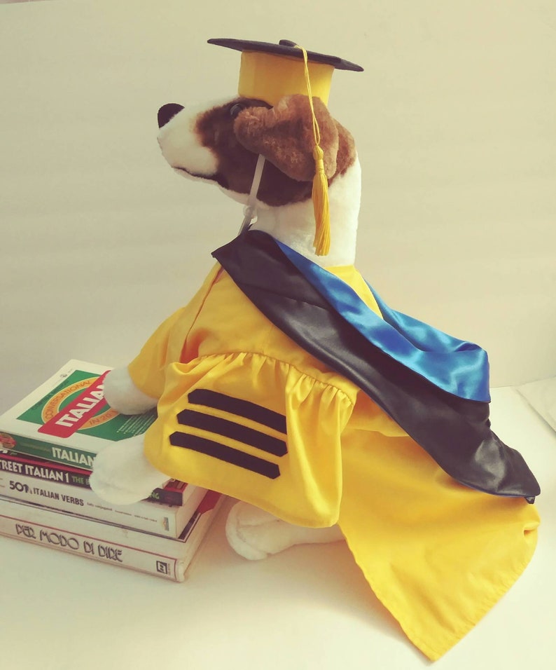 Detailed Dog Regalia Doctoral Graduation Cap and Gown Your Etsy