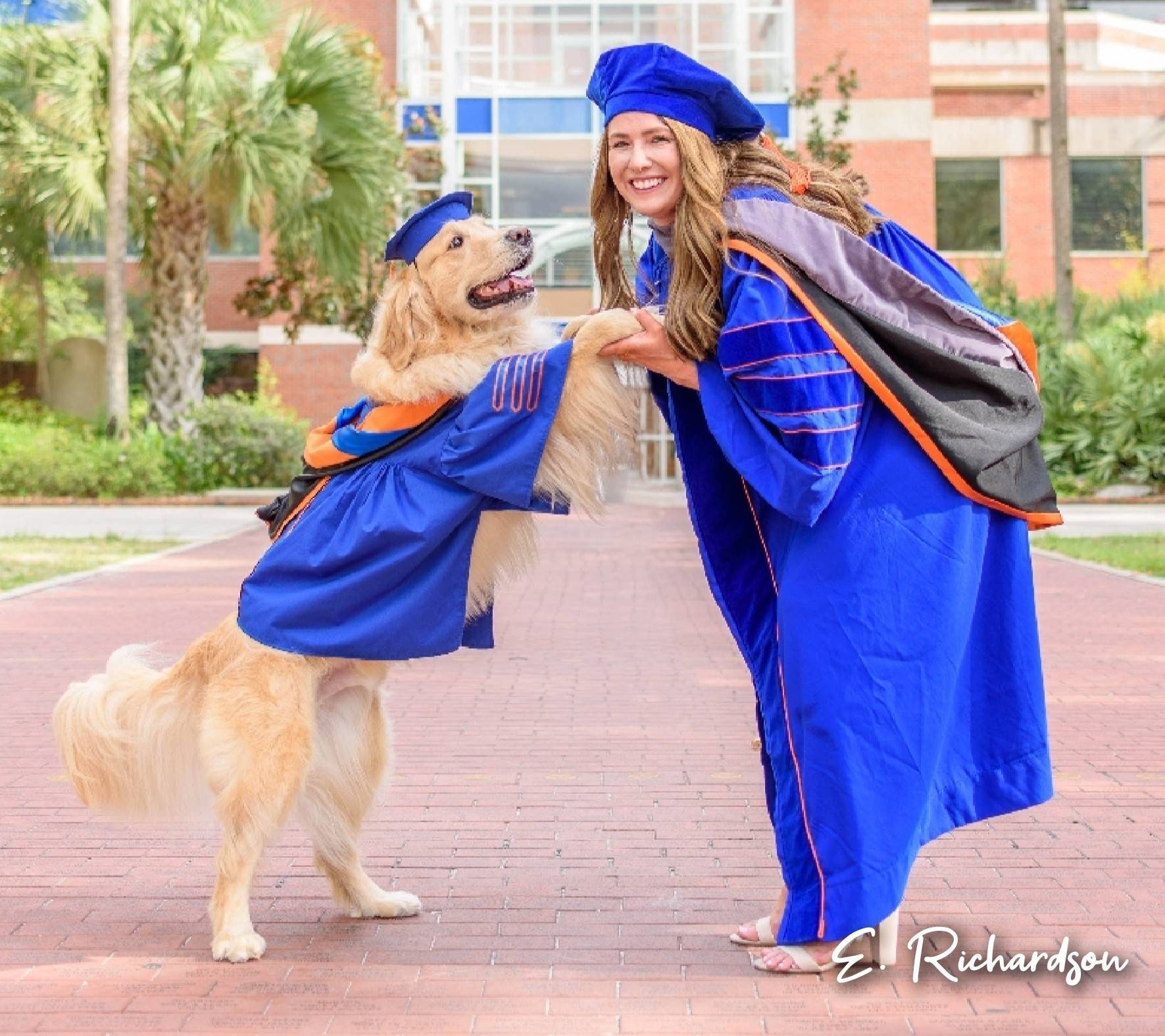 Graduation Cap On Dog Stock Photos and Pictures - 1,067 Images |  Shutterstock