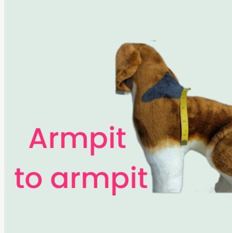 Dog Graduation Cap and Gown Cat Graduation Cap and Gown Pet Etsy