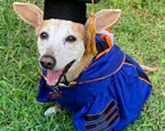 Puppy graduation outfit discount