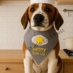 Dog Costume,Dog Halloween Costume, Cat Chef Costume, Cat Halloween Chef Outfit, Dog Chef Hat, Cat Chef Hat ,