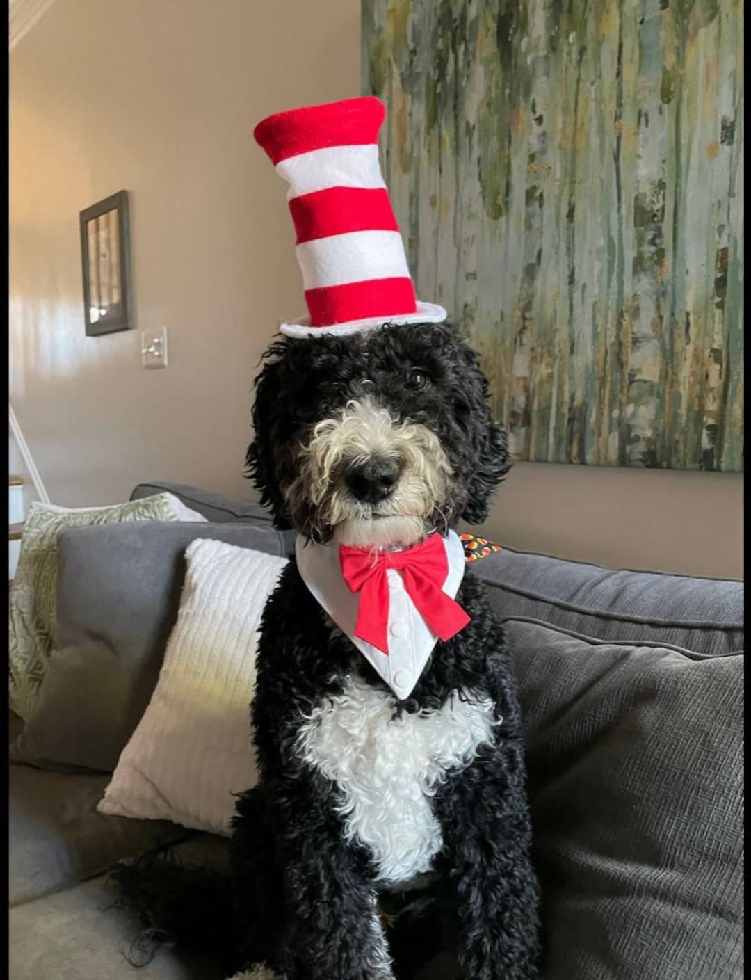 Dog Costume Cat in the Hat Dr. Seuss Inspired Hat. Halloween Etsy