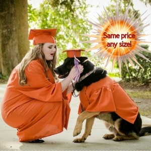 Dog Graduation Cap and Gown, Cat Graduation Cap and Gown, Pet Graduation Cap and Gown, Same Price Any Size.  Your Choice of Color.