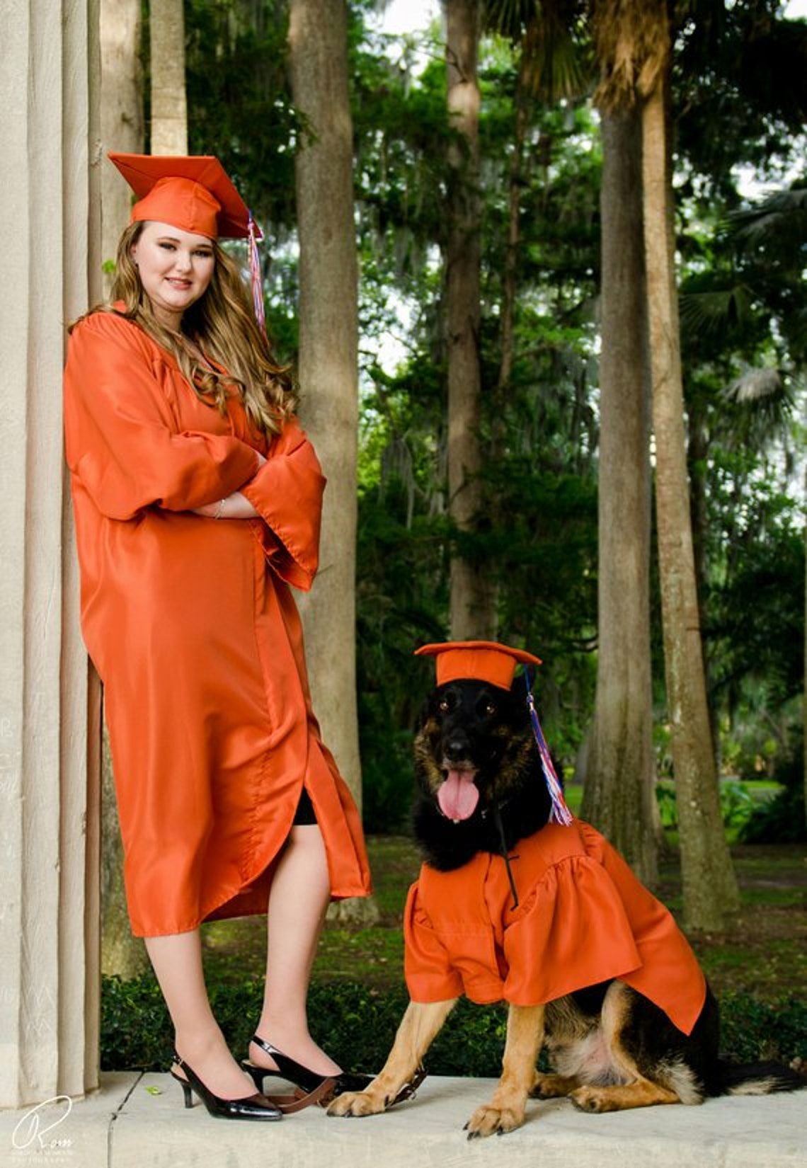 Dog Graduation Cap and Gown Cat Graduation Cap and Gown Pet Etsy