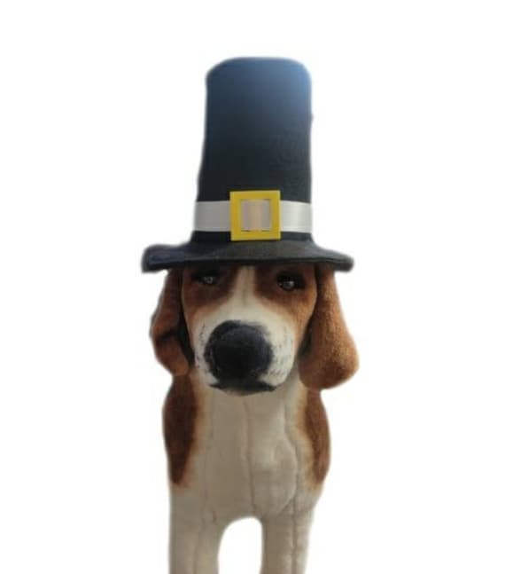 Pilgrim Dog Hat Thanksgiving Dog Hat Costume Pilgrim Cat - Etsy