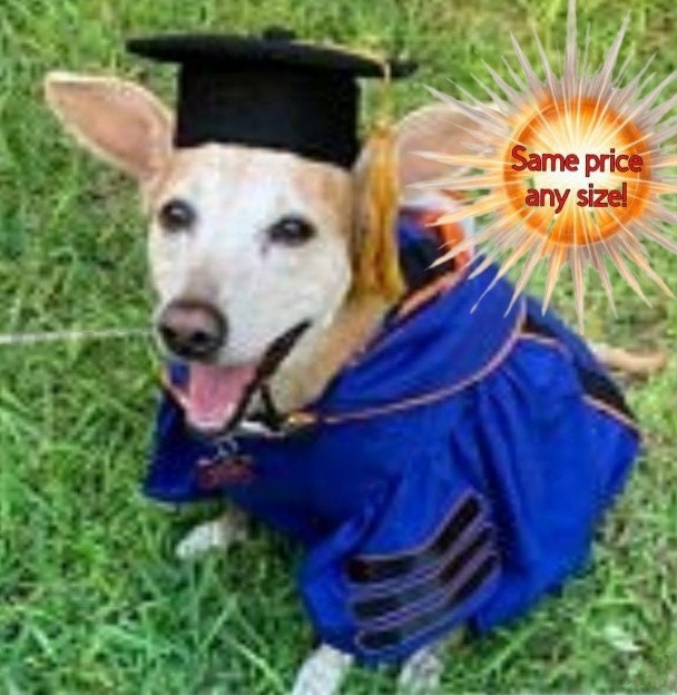 Detailed Dog Regalia Doctoral Graduation Cap and Gown (your Choice