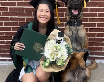 Dog Graduation Cap, Cat Graduation Cap,  (your choice of color)