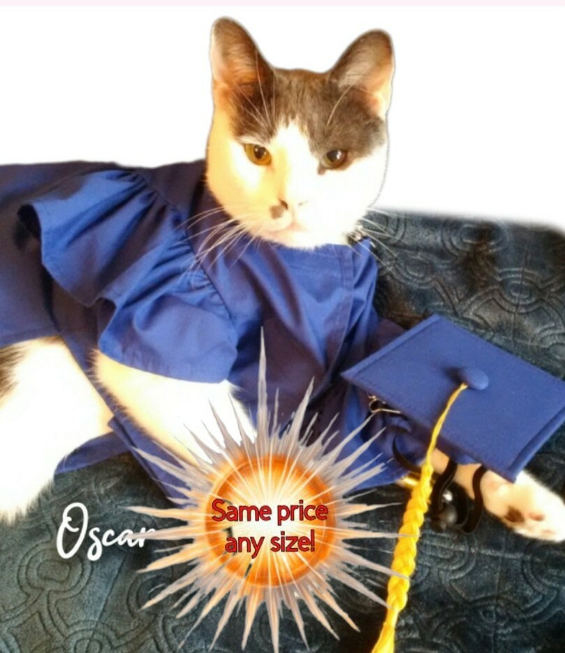 Cat and Dog Graduation Cap and Gown, Cat Graduation Cap and Gown. Same ...