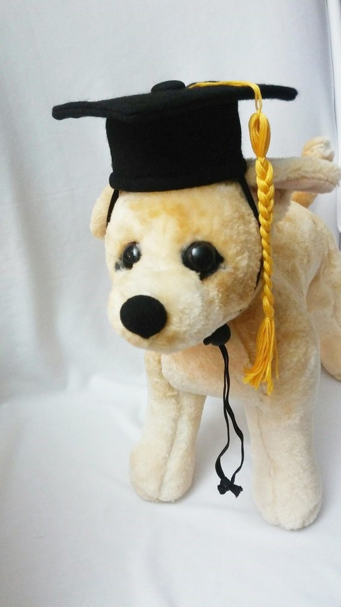 Dog Graduation Cap your choice of color Etsy