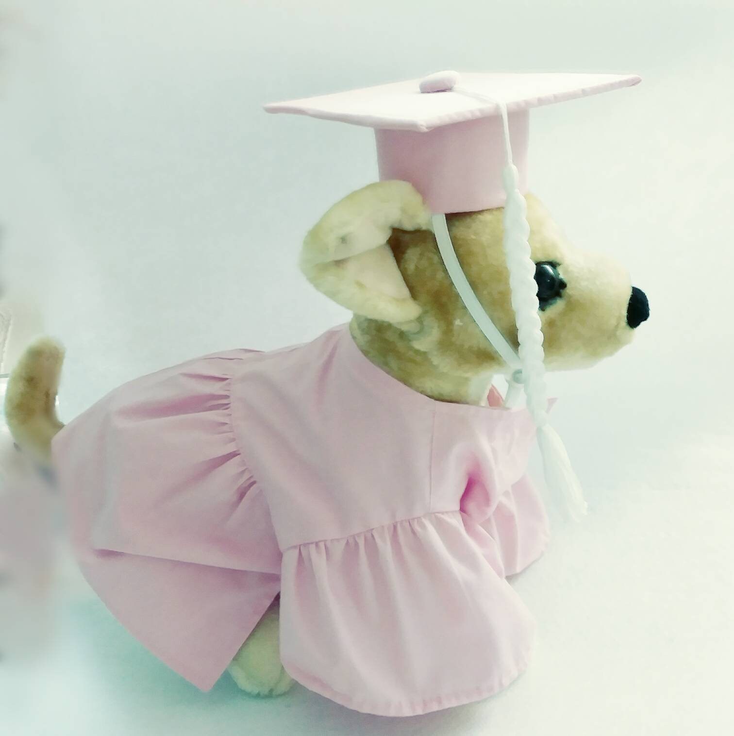 Dog Graduation Cap and Gown Cat Graduation Cap and Gown Pet Etsy