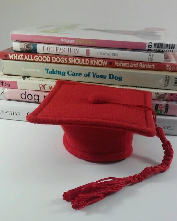 Dog Graduation Cap Cat Graduation Cap your Choice of Color Etsy