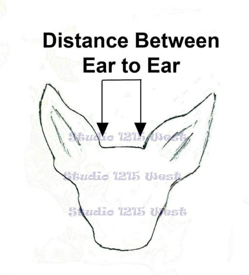 Dog Graduation Cap and Gown Cat Graduation Cap and Gown Pet Etsy