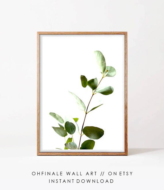 Eucalyptus Print Greenery Photography Botanical Wall Art Image 0