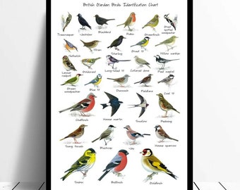 RSPB British Garden Birds Framed Print