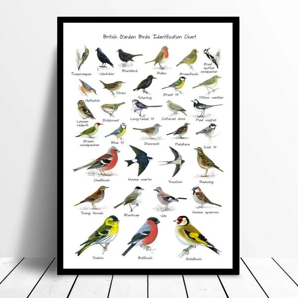 British Garden Birds Identification Chart Wildlife Poster A5 A4 A3 A2 A1 A0 Framed Option