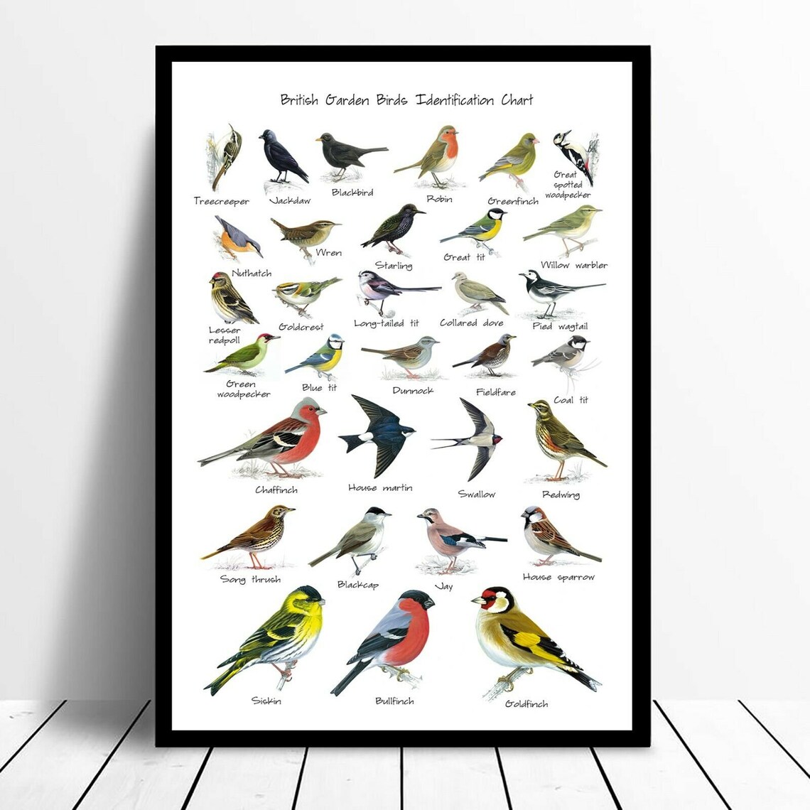 British Garden Birds Identification Chart Wildlife Poster A5 Etsy