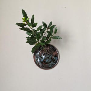 Puede incluir: Un jarrón de pared redondo de cerámica con un esmalte marrón oscuro y verde azulado. El jarrón tiene múltiples agujeros para arreglar tallos y está lleno de ramas verdes y frondosas. El jarrón está montado en una pared de color claro.