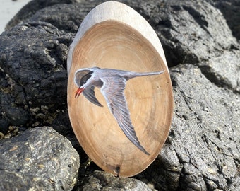 Common Tern Painting on Birch Wood Slice- Shorebird Art, Cabin Art, Bird Lover Gift, Bird Decor, Wall Art, Home Decor Birds, Handmade Gift