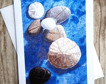 Sand Dollar Card, Shell Card, Maine Card, Sand Dollar Picture, Fine Art Card, Ocean Card, Sand Dollar Art, Beach Pebble, Sand Dollar Shell