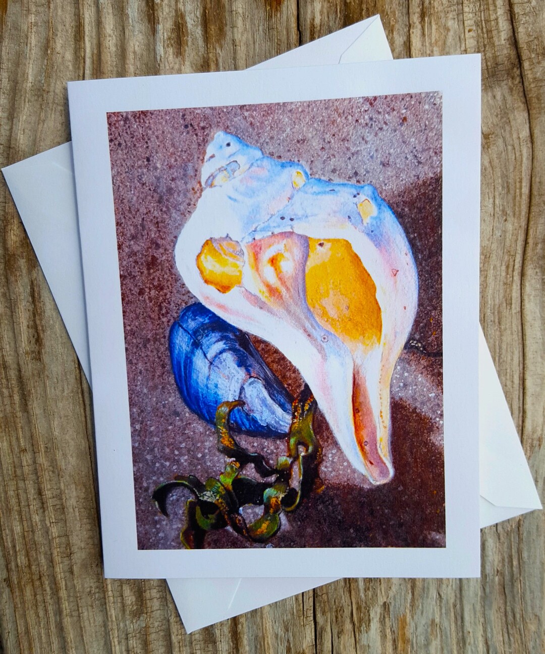 Beach Shell Card Mussel Shell Notecard Seaweed Note Card - Etsy