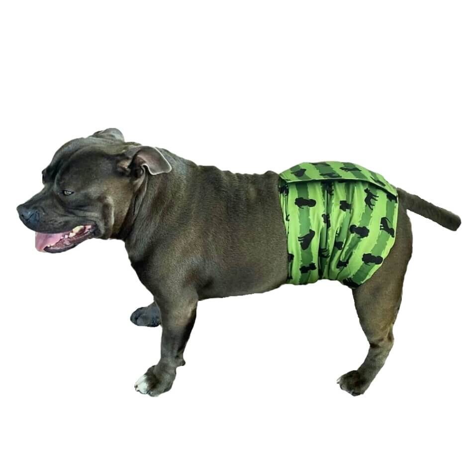 Dog pee cheap pants