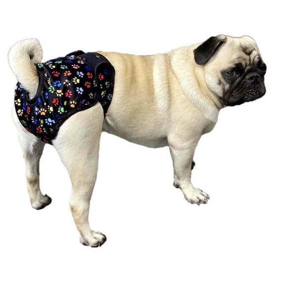 XS XXL Paw Prints Dog Sanitary Pants Diaper Nappy Washable Waterproof  Female Adjustable Reusable Pet Season Heat Underwear Puppy Protect - Etsy UK