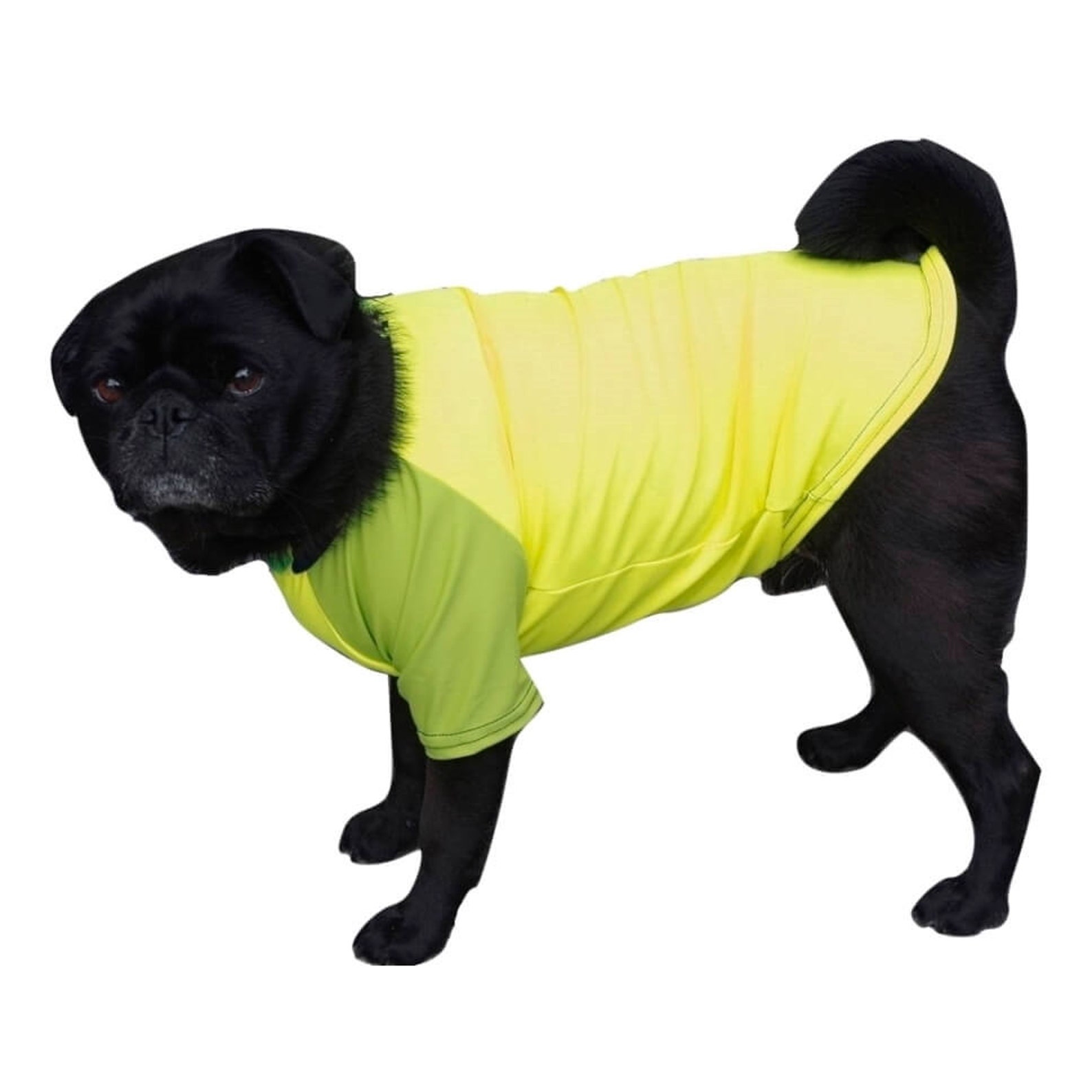 Dog Rash Shirt Yellow 50 Plus UV Sun Protection M L XL 2XL 3XL Etsy