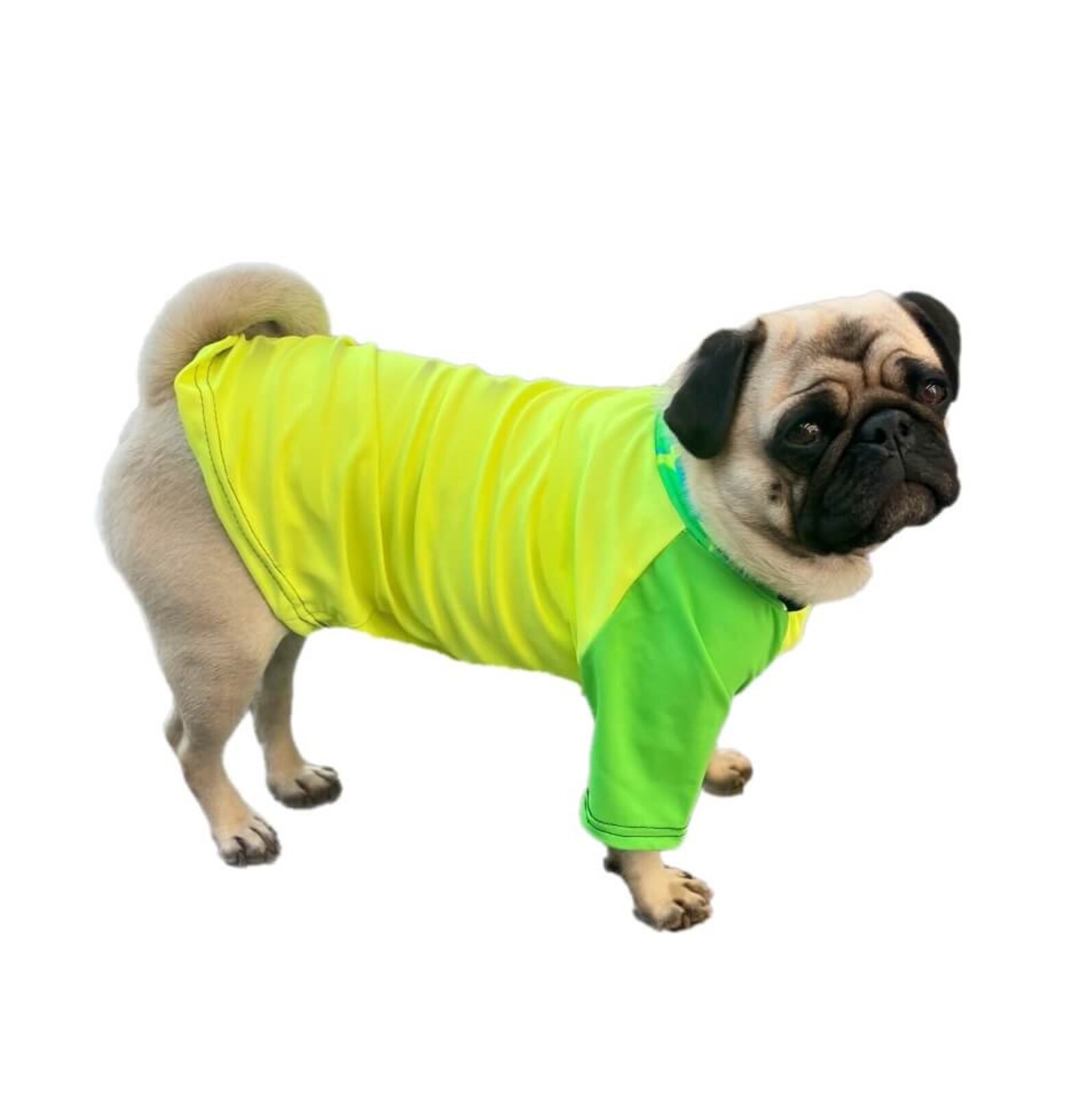 Dog Rash Shirt Yellow 50 Plus UV Sun Protection M L XL 2XL 3XL Etsy