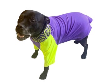 Dog Rash Shirt Purple 50 Plus UV Sun Protection  M L XL 2XL 3XL 4XL -  Puppy Clothes Clothing Pet Swimming Vest Skin Cancer