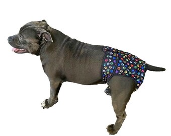 Glenndarcy pants top for dogs