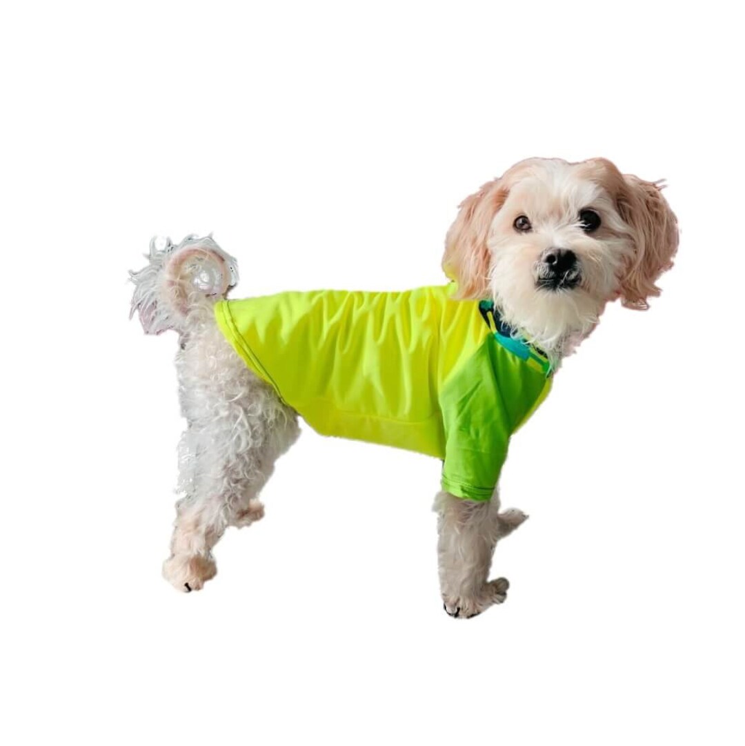 Dog Rash Shirt Yellow 50 Plus UV Sun Protection M L XL 2XL 3XL Etsy