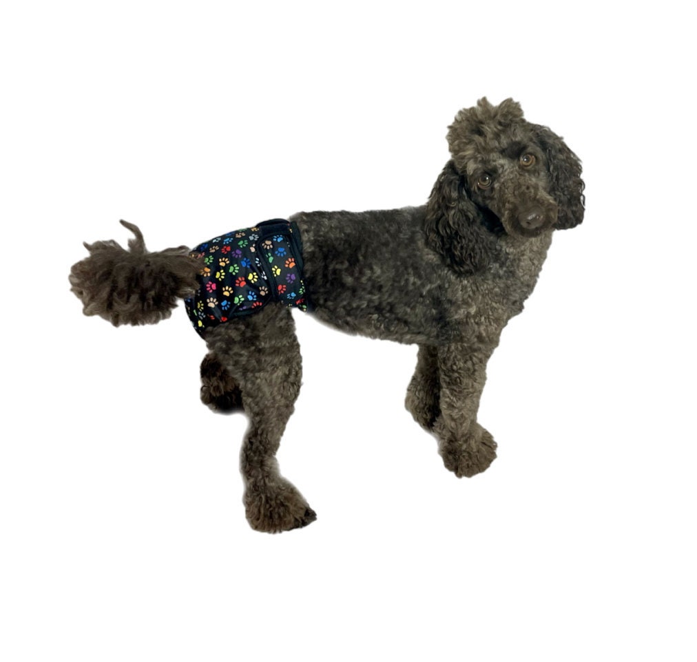 waterproof dog pants