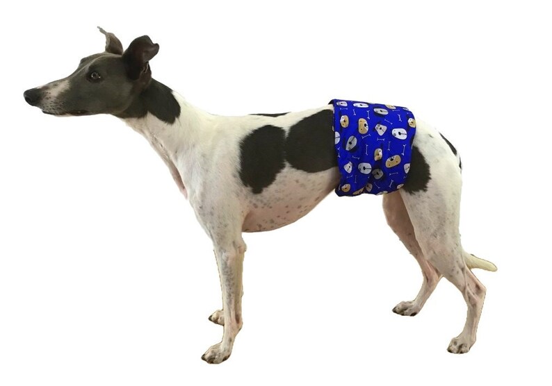 xs male dog wrap