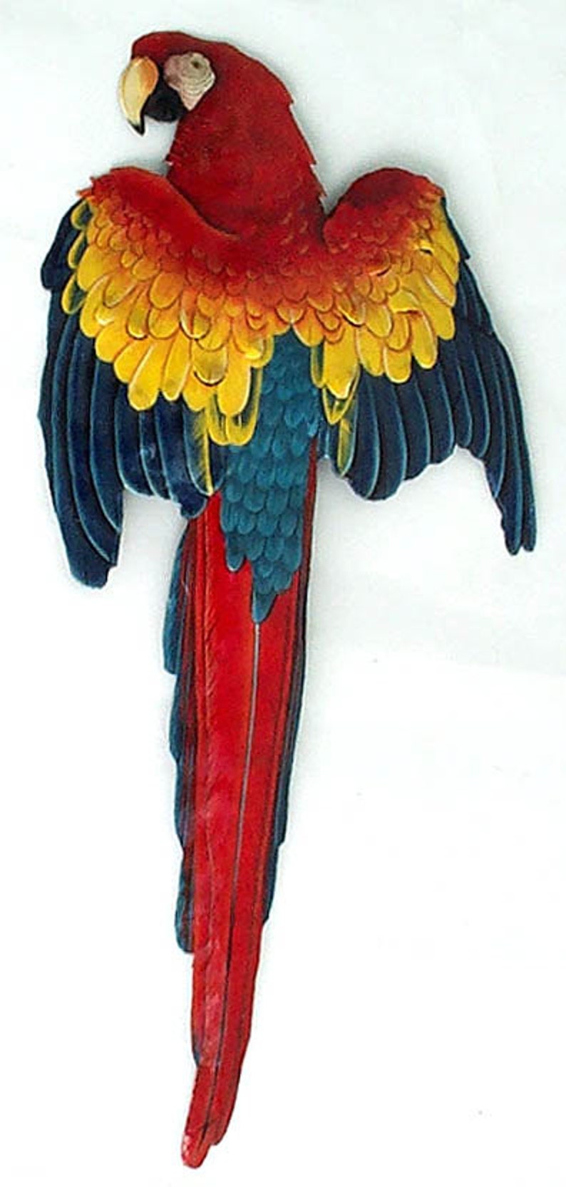 Parrot Art Metal Wall Decor Tropical Art Painted Metal Etsy