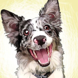 Pet portrait Cartoon dog portrait Australian shepherdpet portrait Border collie gift Australian shepherd watercolor