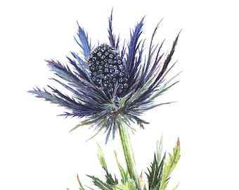 Peinture à l'aquarelle à partir d'une photo Peinture florale Peinture à l'aquarelle de fleurs Décoration de mariage Art floral Eryngium