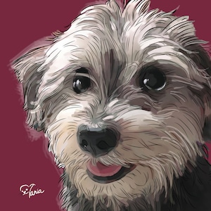 Pet Best Sellers Etsy