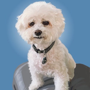 Pet portrait from photo Pet portrait custom Maltese Custom pet items Gift ideas Sale items Best seller digital portrait