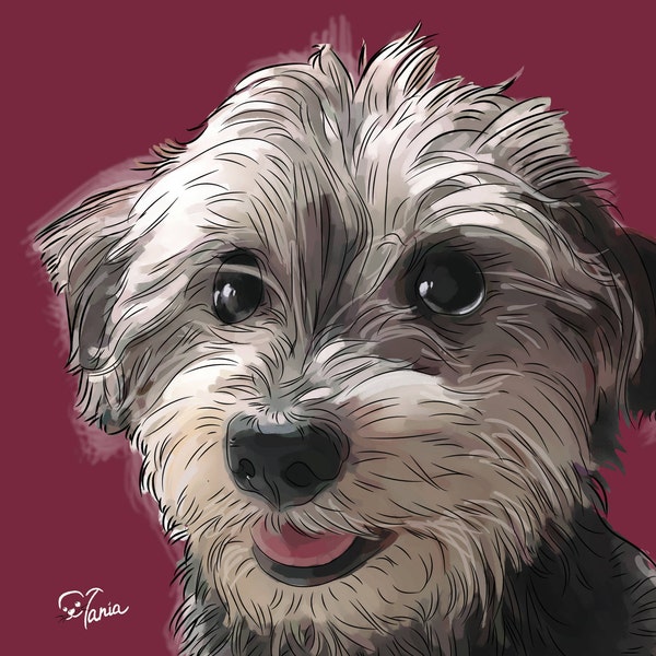 Dog portrait custom painting from photo Border terrier art Popular right now Top selling items Trending now Most sold items